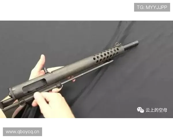 哈兰德全能属性与纯终结者结构差异解析